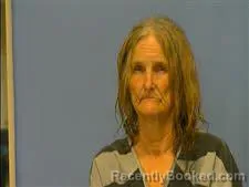 Mugshot of MELISSA MCKENZIE booked in Saline County, Arkansas on July 5, 2026