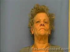 Mugshot of BRENDA DROGSVOLD booked in Saline County, Arkansas on May 14, 2026