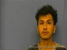Mugshot of LUIS VARGAS