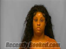 Booking photo from Saline County, Arkansas