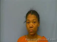 Booking photo from Saline County, Arkansas