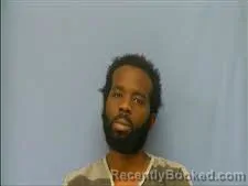 Mugshot of TRACY SIMS booked in Saline County, Arkansas on March 28, 2026