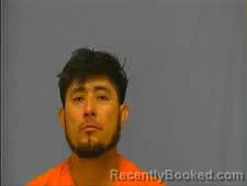 Mugshot of ABIMAEL BORRIOS booked in Saline County, Arkansas on March 29, 2026