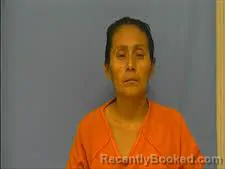 Mugshot of GEIDY PEREZ booked in Saline County, Arkansas on March 29, 2026