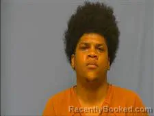 Mugshot of ELIJAH ALFORD booked in Saline County, Arkansas on April 24, 2026