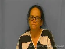 Mugshot of MARTHA TRAMMELL booked in Saline County, Arkansas on April 25, 2026