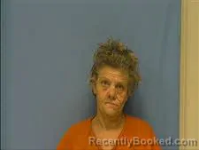 Mugshot of BRENDA DROGSVOLD booked in Saline County, Arkansas on May 19, 2026