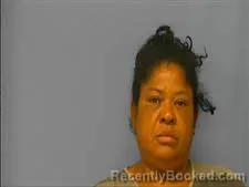 Mugshot of SILVIA CARCAMO booked in Saline County, Arkansas on June 16, 2026