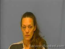 Mugshot of LEIDY ROMANIN booked in Saline County, Arkansas on June 28, 2026