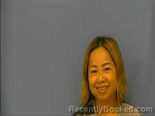 Mugshot of TINA LUU booked in Saline County, Arkansas on July 4, 2026