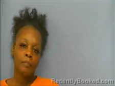 Mugshot of Lauren Watkins booked in Saline County, Arkansas on August 13, 2026