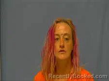 Mugshot of LISA FREEMAN
