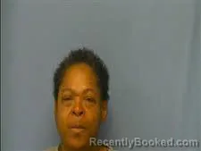 Mugshot of ANITA JOHNSON booked in Saline County, Arkansas on April 27, 2026