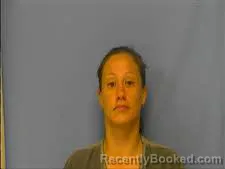 Mugshot of MICHELLE DEAN booked in Saline County, Arkansas on June 29, 2026