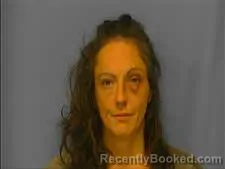 Mugshot of ANGELA SHORES booked in Saline County, Arkansas on July 14, 2026