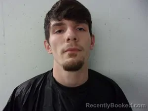 Mugshot of Gavyn Bailey Hamrick