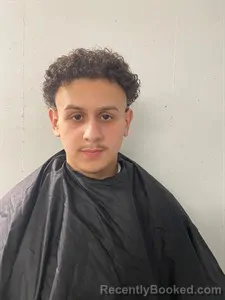 Booking photo from Searcy County, Arkansas