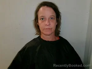 Booking photo from Searcy County, Arkansas