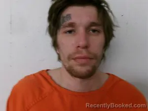 Mugshot of Victor James Whitney