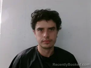 Mugshot of Andrew Nathaniel Blake booked in Searcy County, Arkansas on April 2, 2026