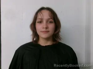 Mugshot of Sara Elizabeth Farish booked in Searcy County, Arkansas on April 15, 2026