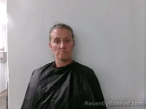 Mugshot of Amanda Ruth Lewis booked in Searcy County, Arkansas on May 14, 2026