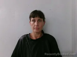 Mugshot of Alinda Ann Whittington booked in Searcy County, Arkansas on June 7, 2026