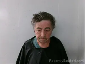 Mugshot of Harry James Oliver booked in Searcy County, Arkansas on July 3, 2026