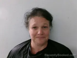 Mugshot of Tara Dawn Mccoy booked in Searcy County, Arkansas on July 11, 2026
