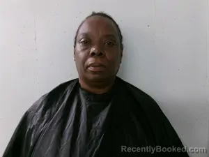 Mugshot of Virginia Ann Ferguson booked in Searcy County, Arkansas on July 27, 2026