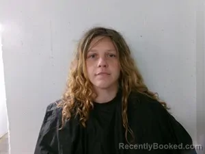 Mugshot of Lindsey Suzanne Blood booked in Searcy County, Arkansas on August 3, 2026