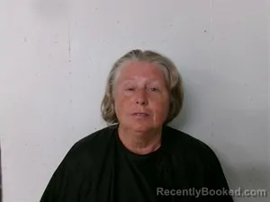 Mugshot of Katie Stevens booked in Searcy County, Arkansas on August 15, 2026
