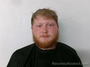 Mugshot of Levi Hayden Mccoy booked in Searcy County, Arkansas on August 15, 2026