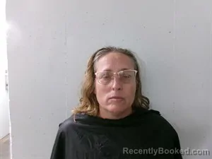 Mugshot of Crystina Lee Barnes booked in Searcy County, Arkansas on August 18, 2026