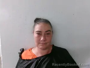 Mugshot of Sheena Cullen booked in Searcy County, Arkansas on August 29, 2026