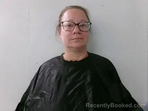 Mugshot of Kimberly Sue Vickers booked in Searcy County, Arkansas on October 5, 2026