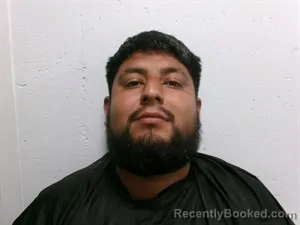 Mugshot of Jose Gregoria Romero Romero booked in Searcy County, Arkansas on October 13, 2026