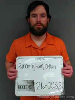 Mugshot of Dylan Birmingham