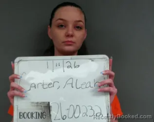Booking photo from Sebastian County, Arkansas