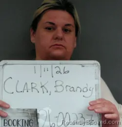 Mugshot of Brandy Necoal Clark