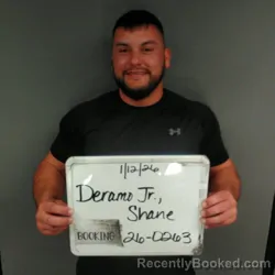 Mugshot of Shane Carridine Junior Deramo
