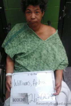 Mugshot of Andrea Monique Williams