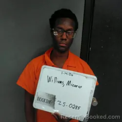 Mugshot of Micario Norell Williams