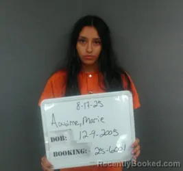 Mugshot of Marie LIZBETH Aguirre