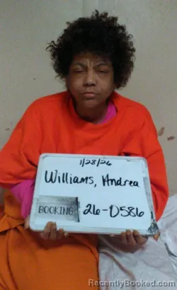 Mugshot of Andrea Monique Williams