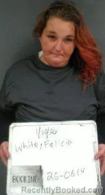 Booking photo from Sebastian County, Arkansas