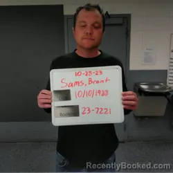 Mugshot of Brent Gregory Sams