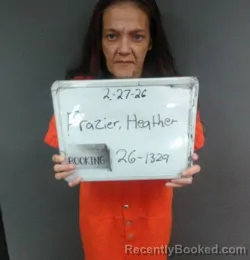Mugshot of Heather Renae Frazier
