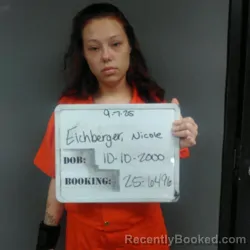 Mugshot of Nicole Lee Eichberger