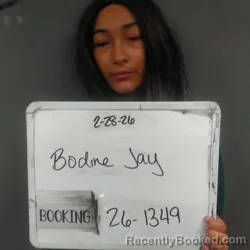 Mugshot of JAY LEE BODINE